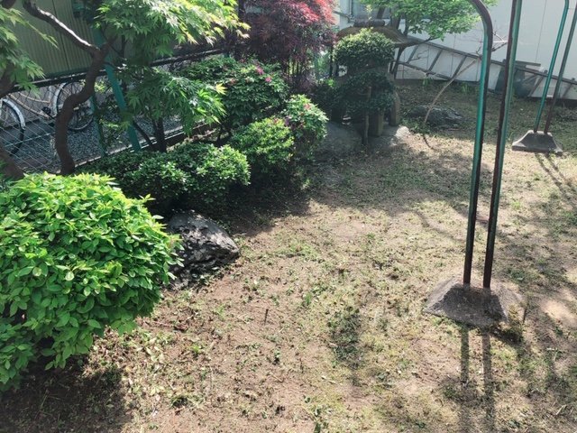 こんなにキレイになりました♪♪